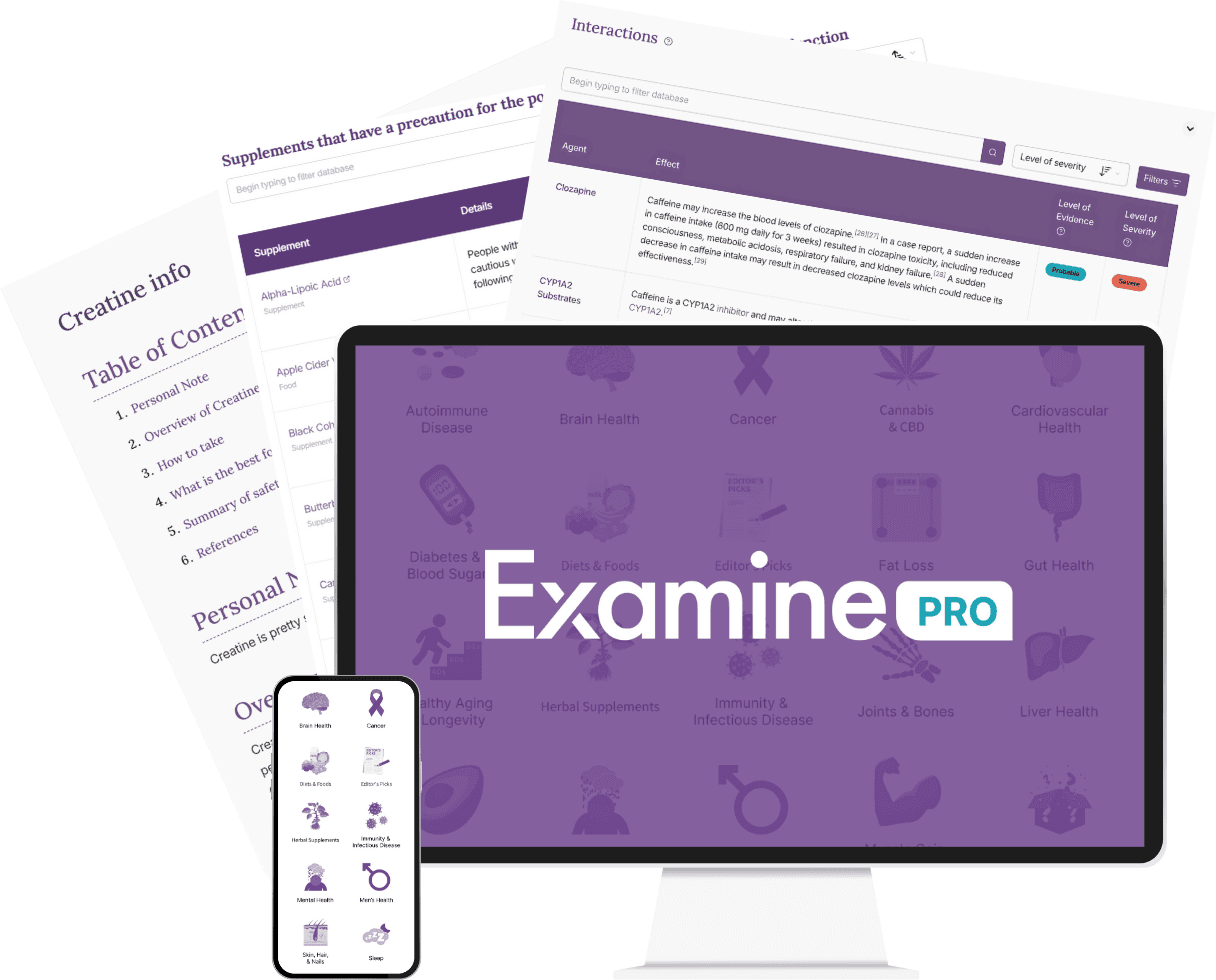 ExaminePro features showcase