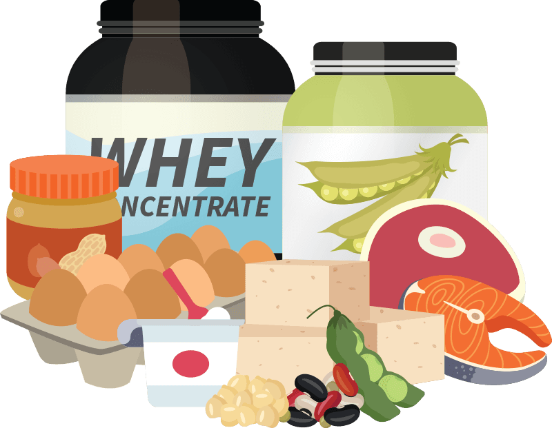 Optimal Protein Intake Guide & Calculator